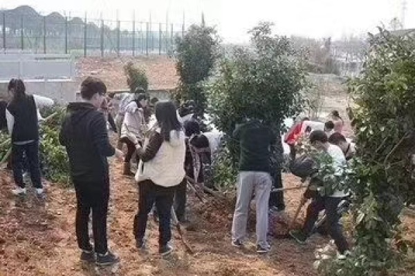 春風(fēng)又綠江南岸,瑞聯(lián)節(jié)能種樹忙