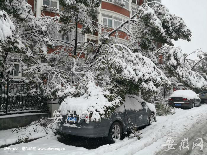 安徽等多地區突降大雪