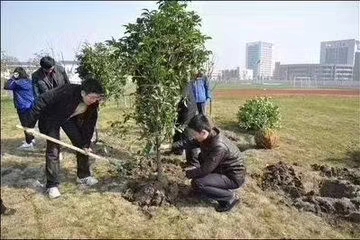 大家熱情參與植樹節活動